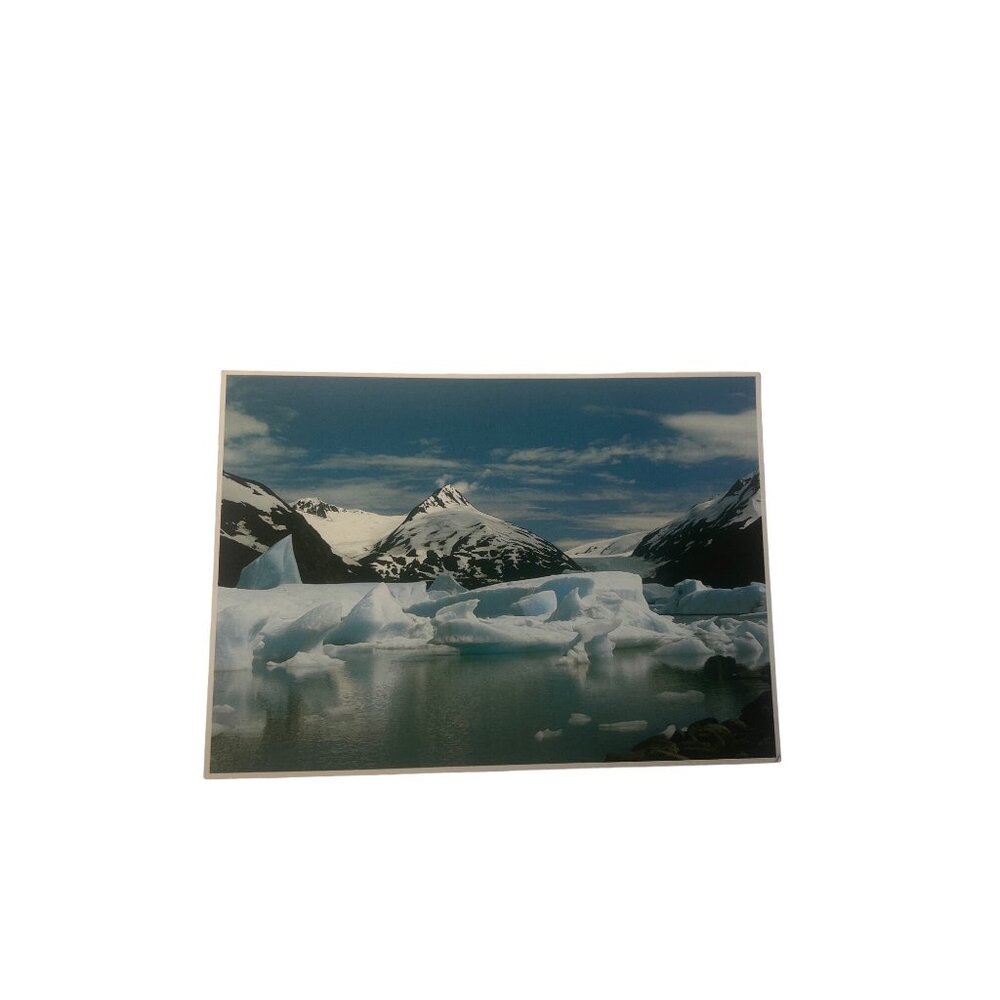 Vintage Postcard Alaska Natural History Association Glacier u B